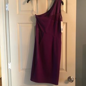 Amethyst Halston Heritage Dress